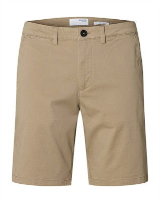 Slim Miles Flex Shorts 